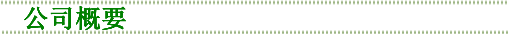 公司概要