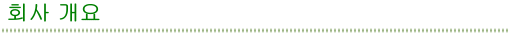 회사 개요
